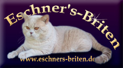 Eschner's